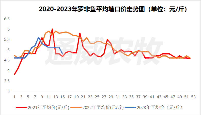 海南罗非鱼最新价格动态分析