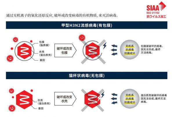 最新病毒研发，挑战与责任