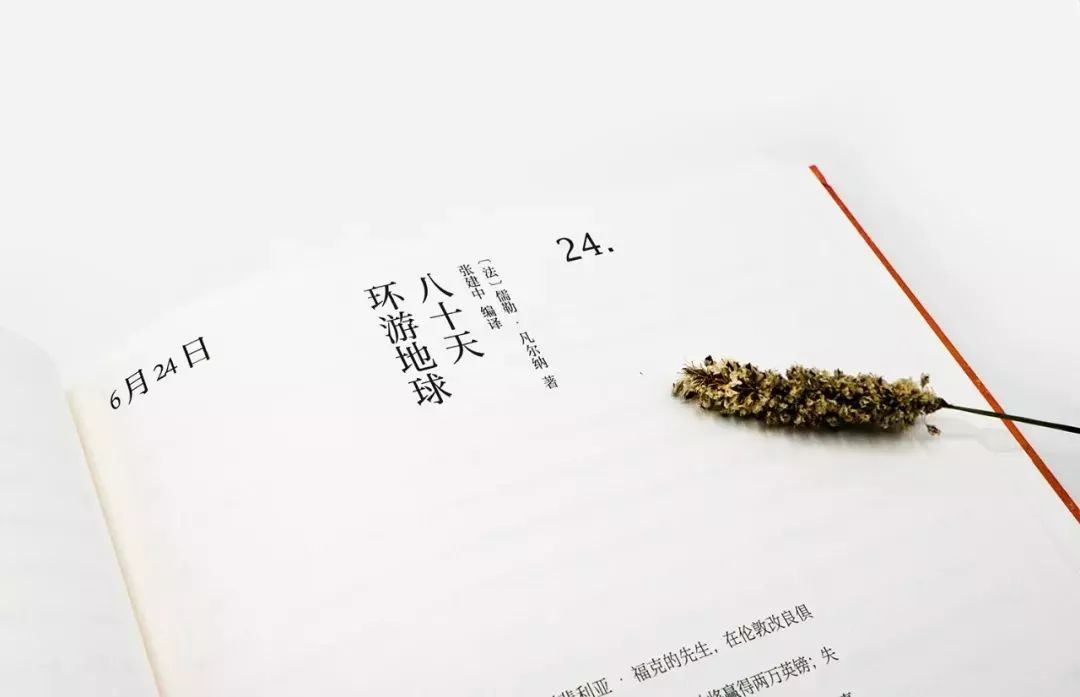 最新儿童诗歌的魅力与启示